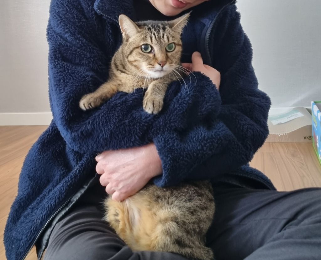 주차장에 버려진 고양이 | 인스티즈