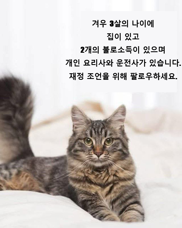 불로 이미지