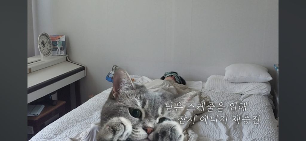 프리랜서 여성의 출퇴근 8번하는 브이로그 | 인스티즈