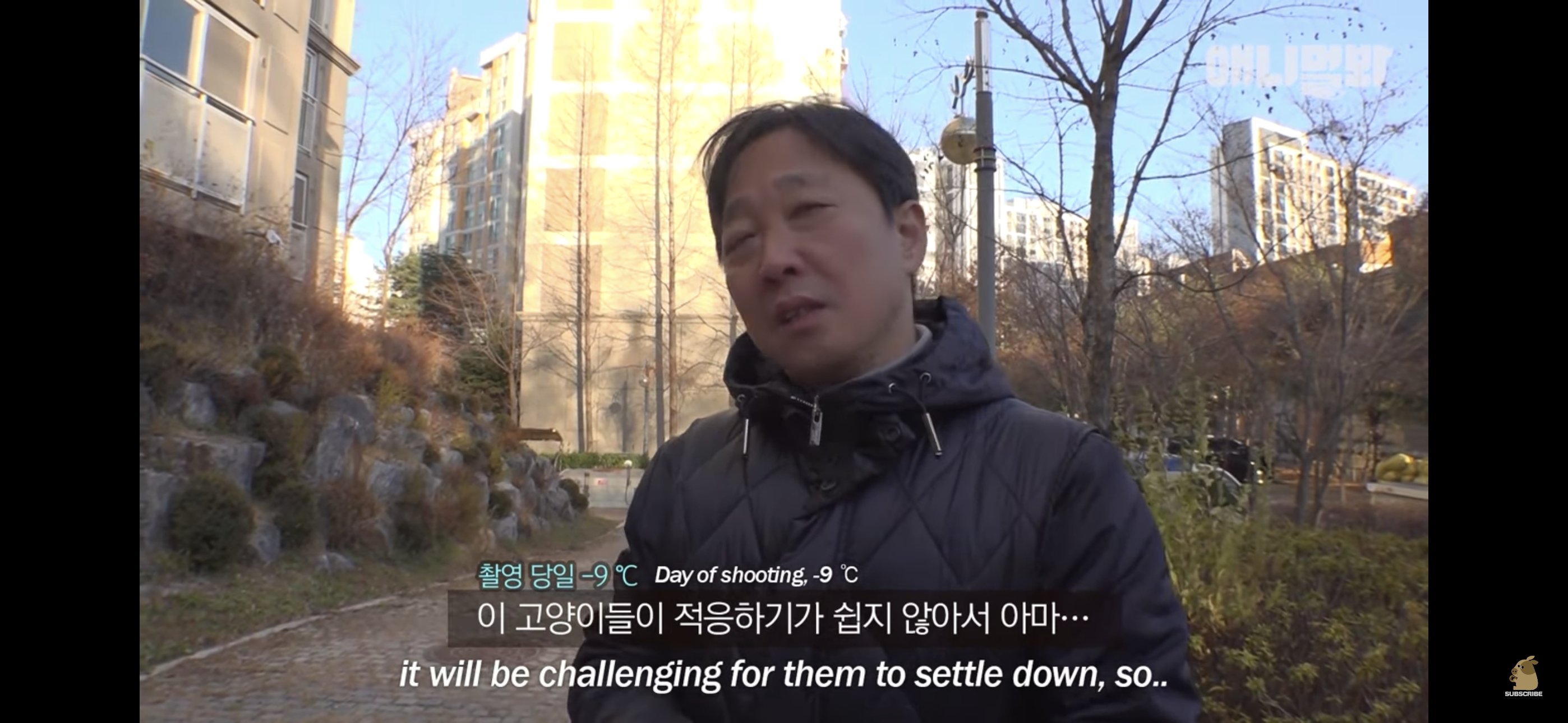 경기도 김포시 마송 휴먼시아 10단지 아파트내에 집단으로 유기된 노르웨이숲 고양이 | 인스티즈