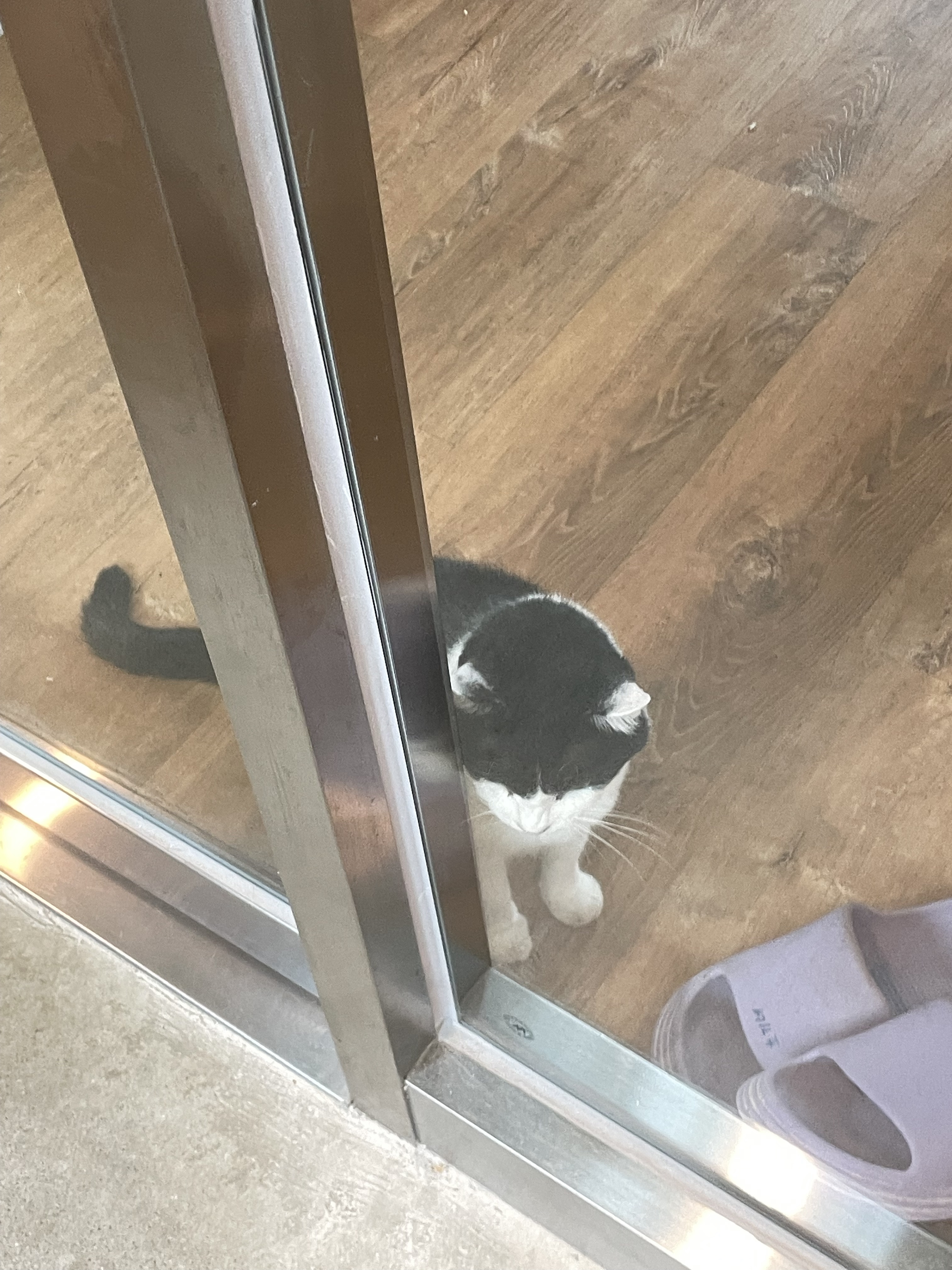 봉사 갈수록 애기들 아는척 하는 거 너무 귀여워.. | 인스티즈