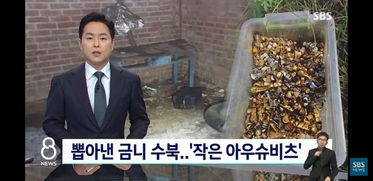 우크라이나가 러시아한테서 탈환한 지역에서 발견된 것...jpg | 인스티즈