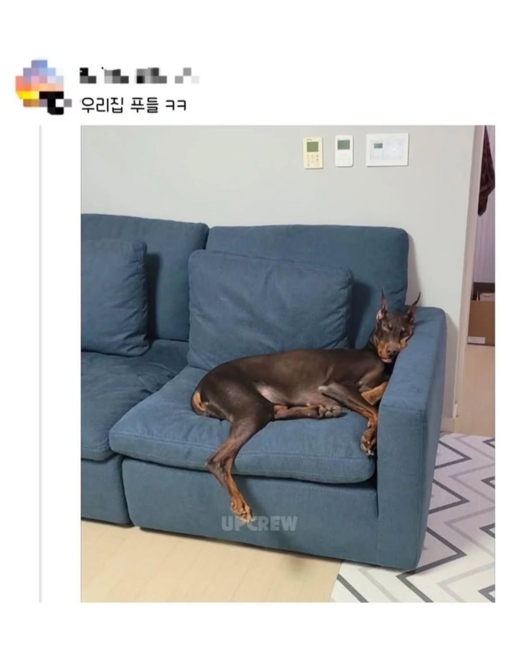 편견없는 대한민국 모음 | 인스티즈