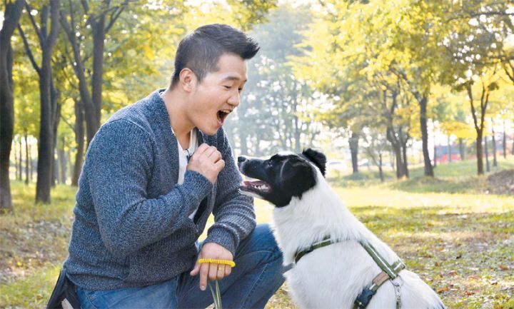 개 전문가와 고양이 전문가 인상 차이 | 인스티즈