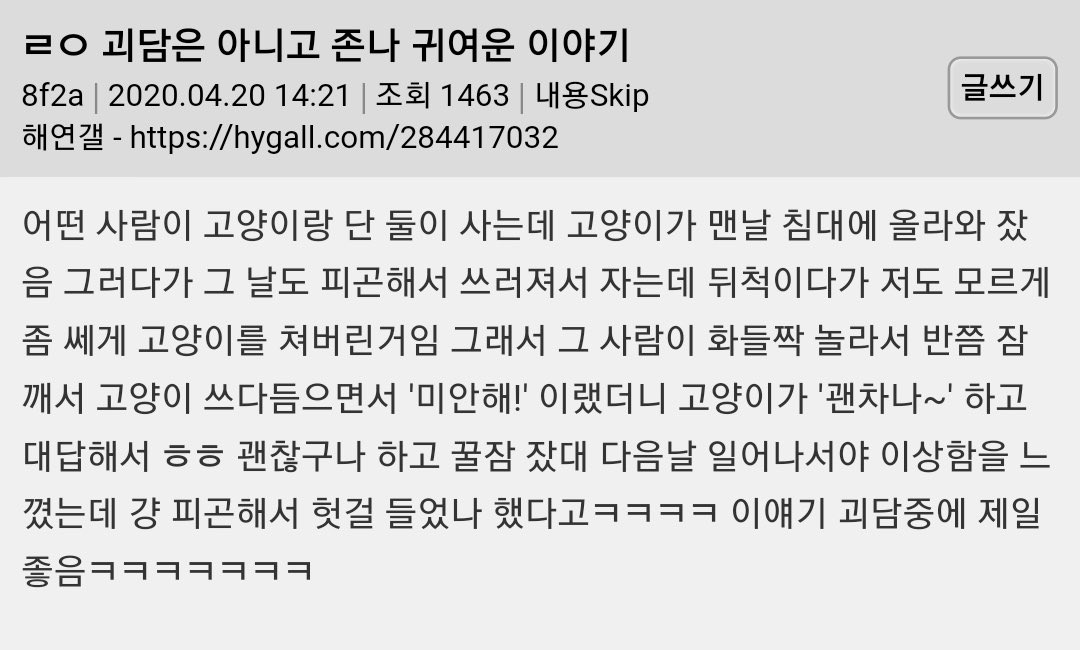 ㄹㅇ 괴담은 아니고 정말 귀여운 이야기 | 인스티즈