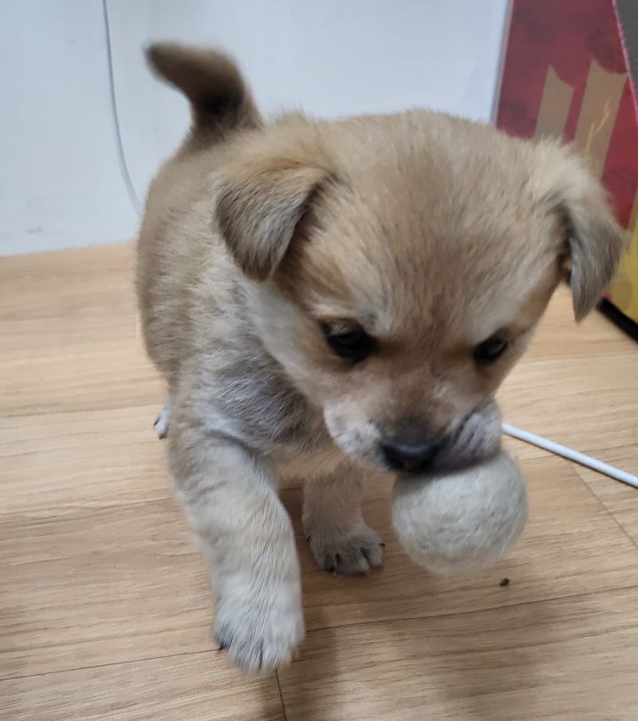 (공지라니... ++추가)새로생긴 회사 복지.. 미쳐서 도저히 일을 못하겠네.. (추가....)++추가 | 인스티즈