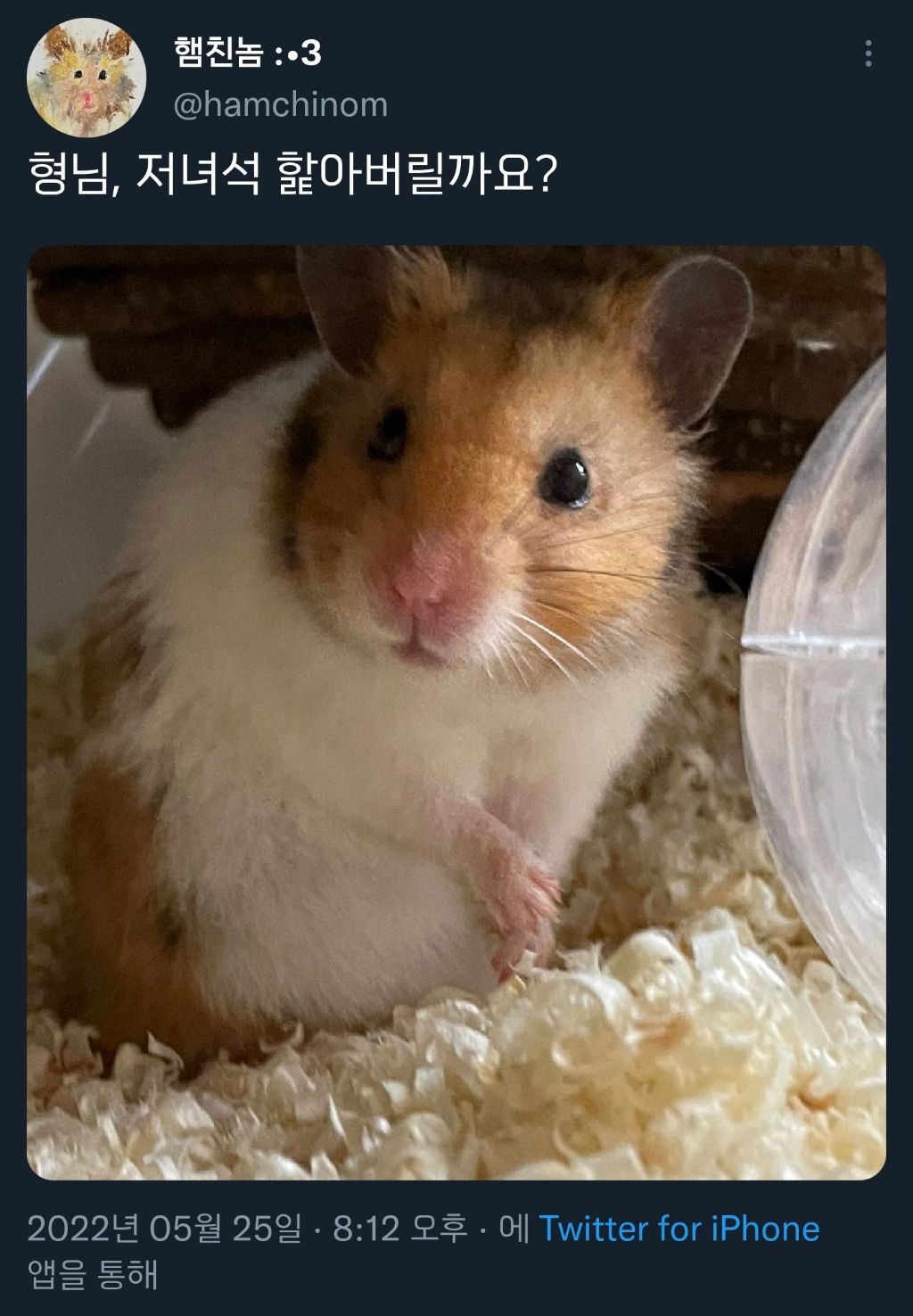 트위터에서 유행하고 있는 얼척없이 웃긴 '형님' 밈 | 인스티즈