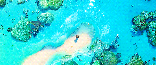 바다가고 싶어지는 애니메이션 영화.gif - 악플달면 쩌리쩌려버려 - ＊여성시대＊ 차분한 20대들의 알흠다운 공간