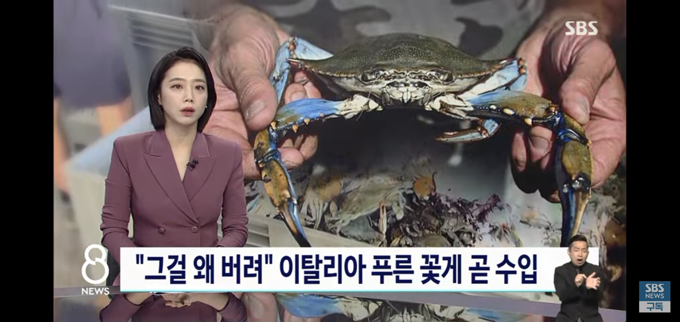 꽃게나라 이미지