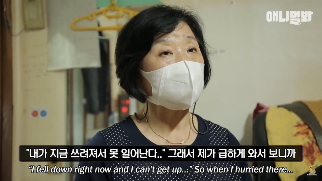 1년만에 자신을 두고 간 주인을 만난 강아지 반응 | 인스티즈
