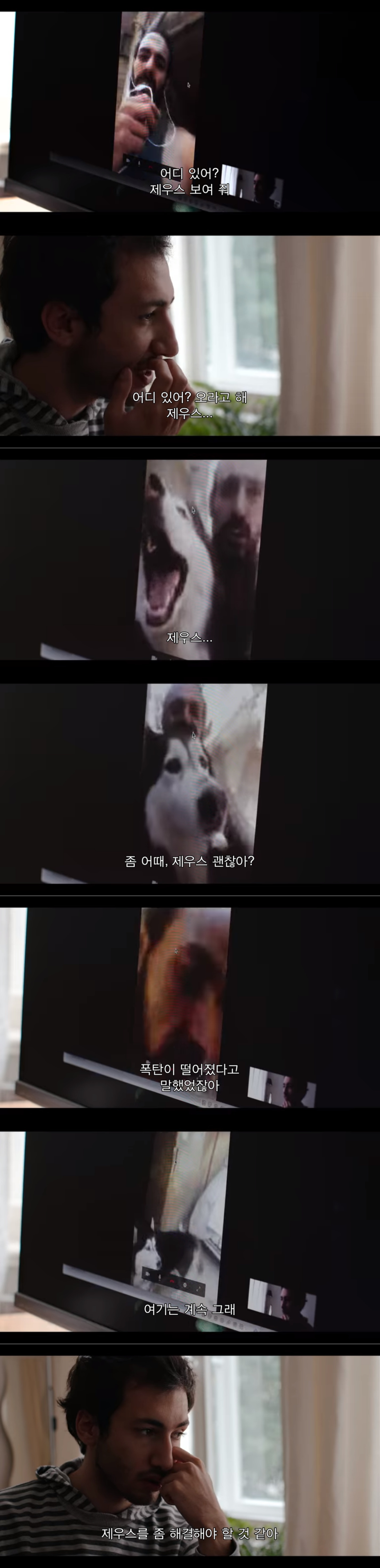 전쟁때문에 독일로 온 난민이라 시리아에 두고 온 내 강아지를 구조하려는데 갑자기 연락이 안된다 | 인스티즈