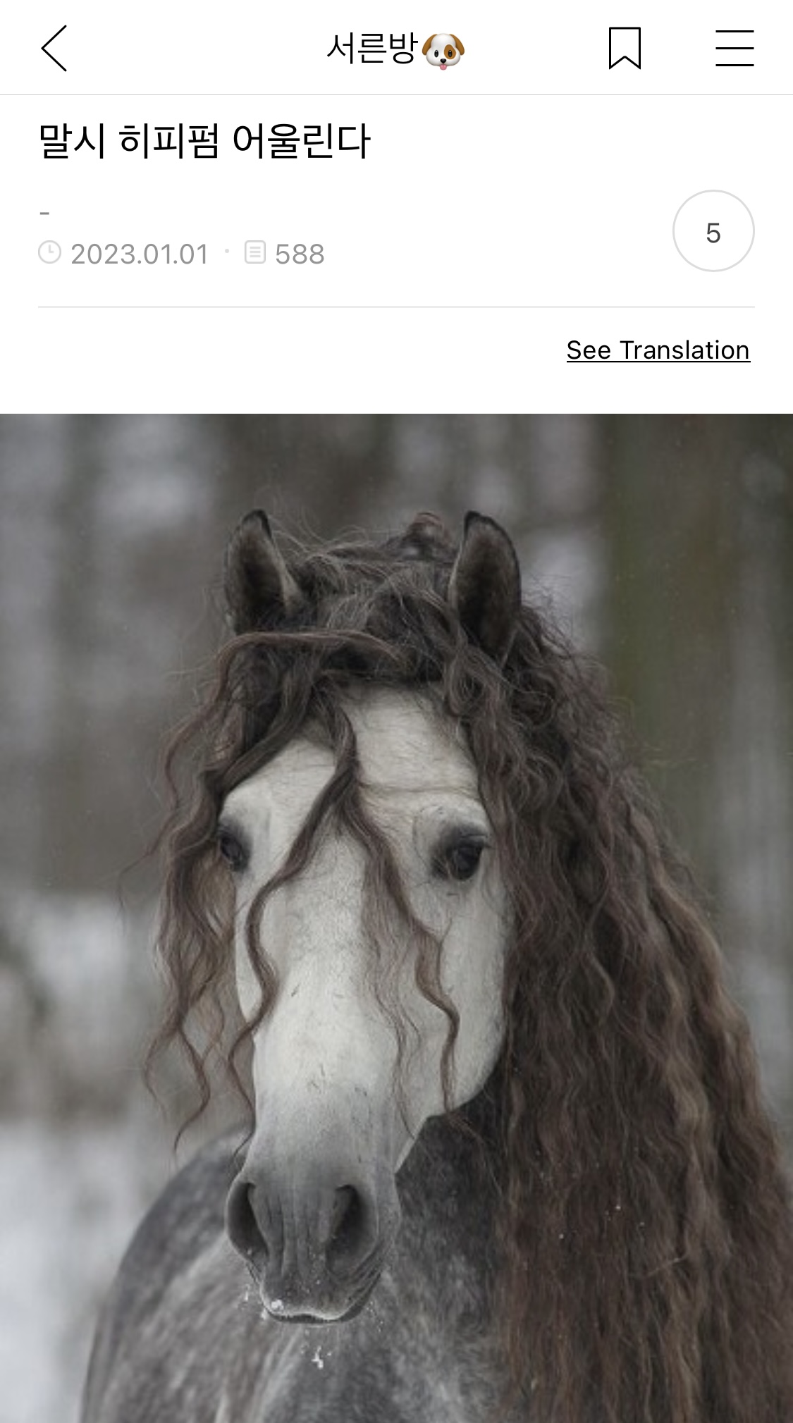 오랫동안 모아 온 여시 캡쳐 35장 📷 | 인스티즈