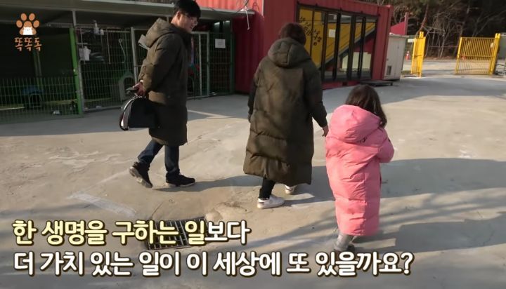7살 아이 눈에 비친 유기견 보호소는? | 인스티즈