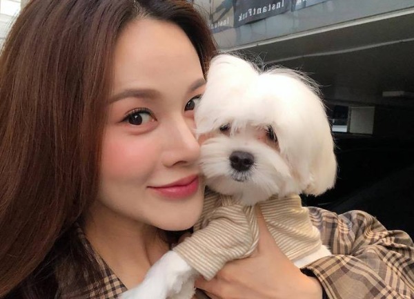 펫샵 NO! 유기견 입양한 연예인들 | 인스티즈