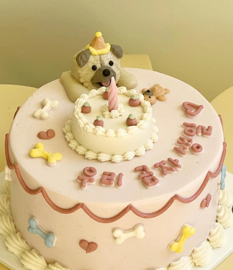 조승우가 반려견 생일에 직접 주문한 케이크 | 인스티즈