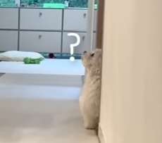 새로 이사온 주택에 물이 새요.jpg | 인스티즈