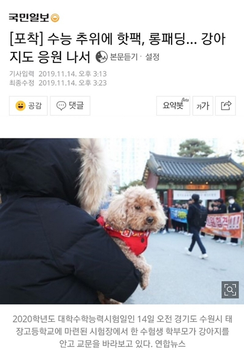 수능 응원나간 강아지들 | 인스티즈