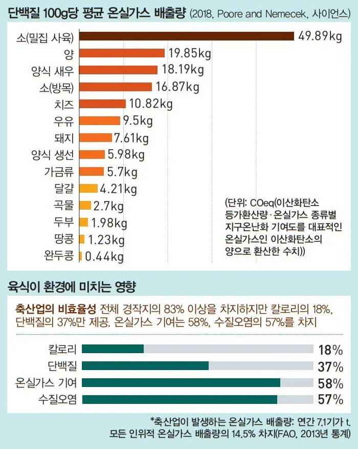 최근 사람들이 채식 시작하는 가장 큰 이유 | 인스티즈