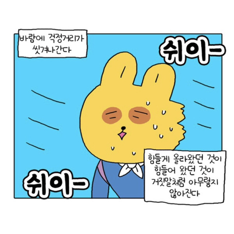 무기력하고 우울하기만 한 내가 새언니 카톡왔는데 어...이런 말투로 이런거 보내심....성취감을 가진다는건 일생의 중요한 사건이었다 | 인스티즈