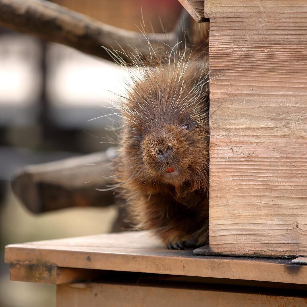 ffda84b6aa0a989b9dc4042656b1b01c0ccd1196