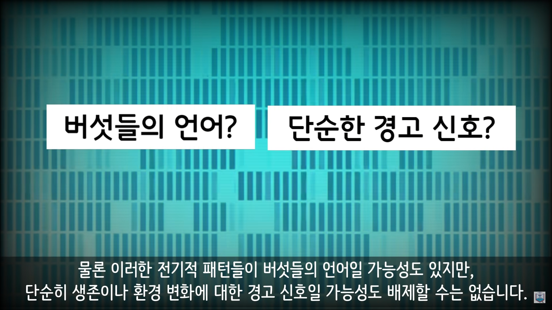 버섯이 단어와 문장을 사용해 서로 대화하고 있을지도 모른다고? | 인스티즈