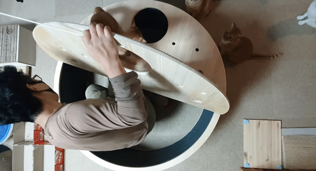 해괴한 고양이 장난감을 만들어낸 오늘자 매탈남.. jpg | 인스티즈