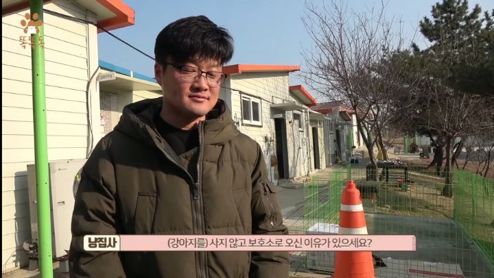 7살 아이 눈에 비친 유기견 보호소는? | 인스티즈