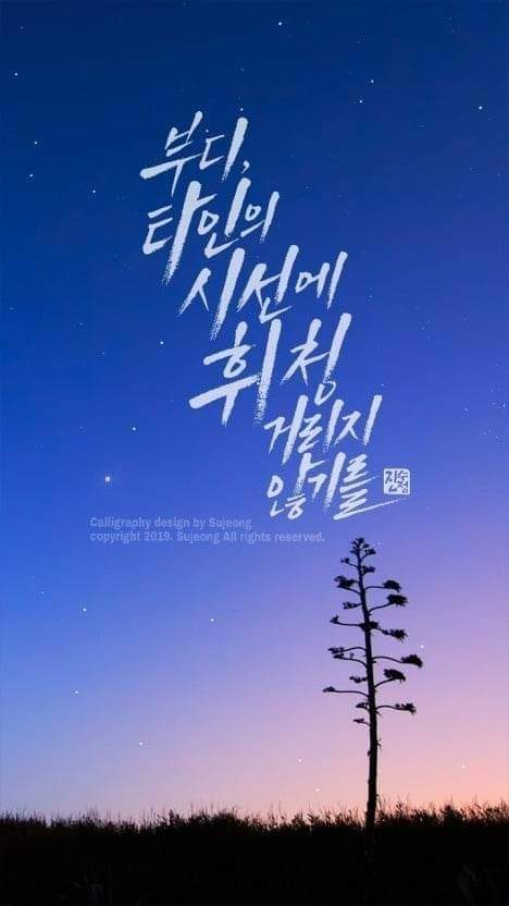 꽃피는하루 이미지