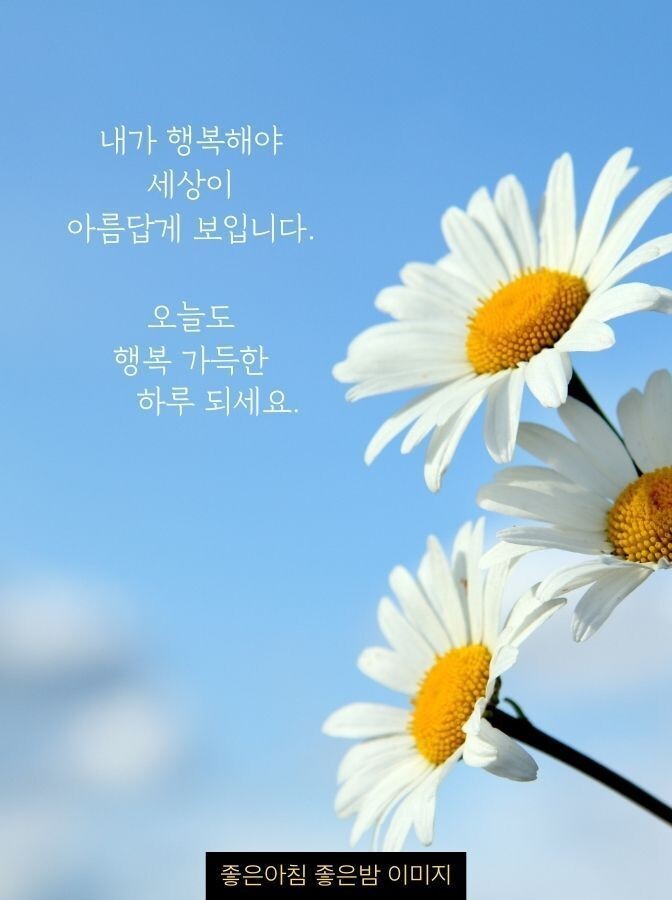 건강한하루 이미지