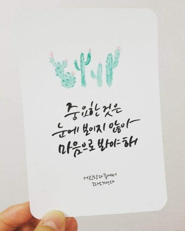 꽃피는하루 이미지