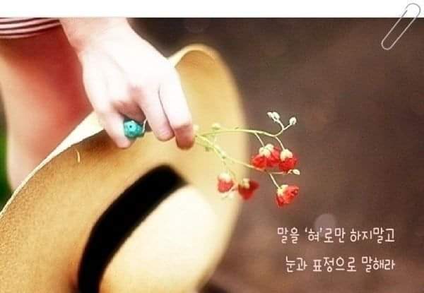 꽃피는하루 이미지