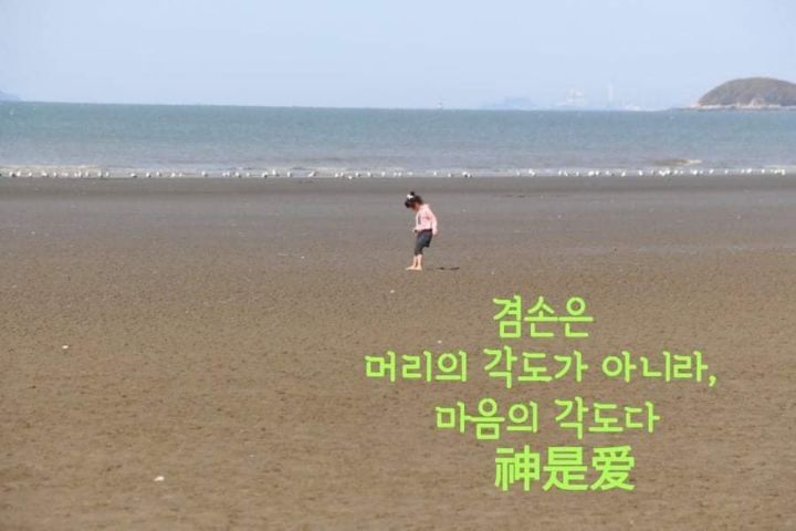 꽃피는하루 이미지