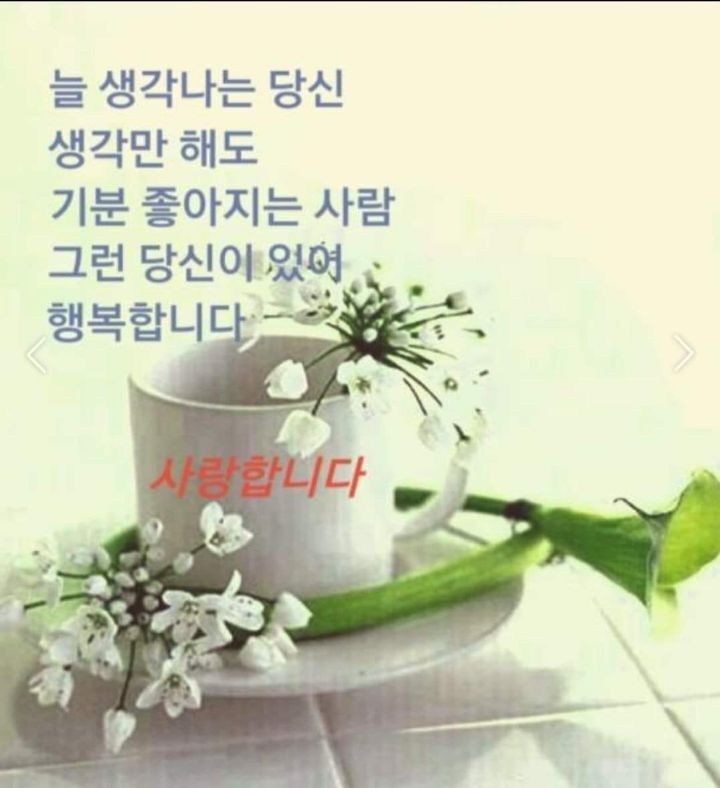 꽃피는하루 이미지