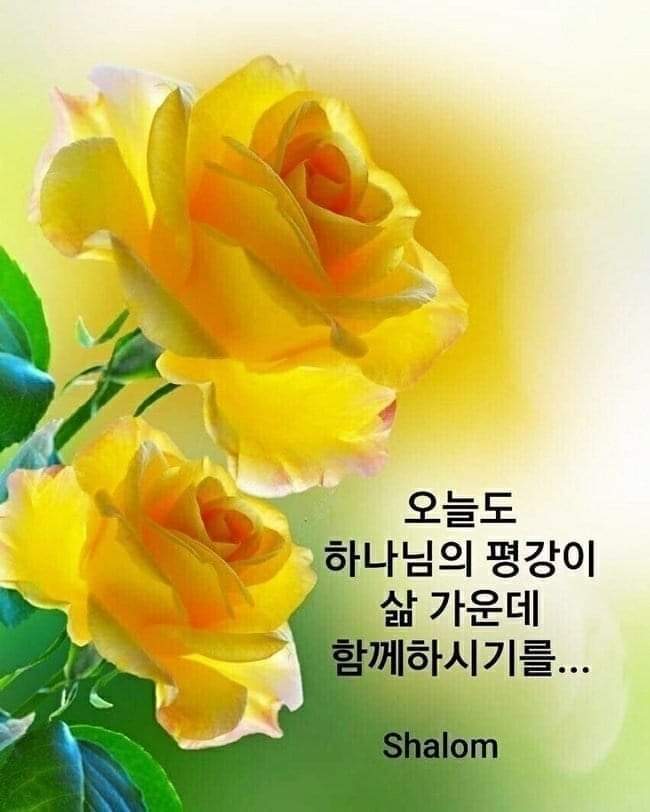 (주)안 이미지