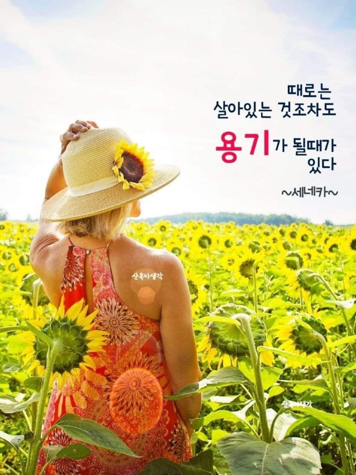 꽃피는하루 이미지
