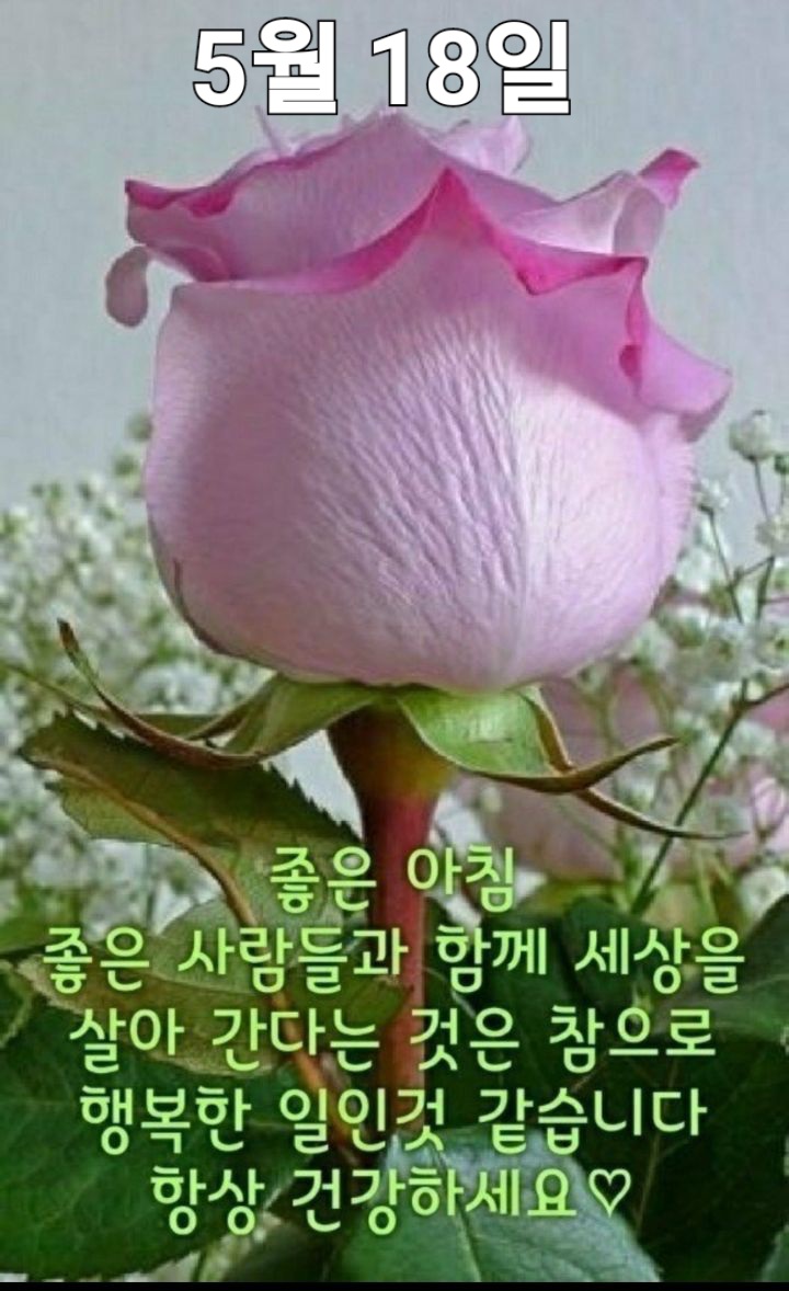 토요일 이미지