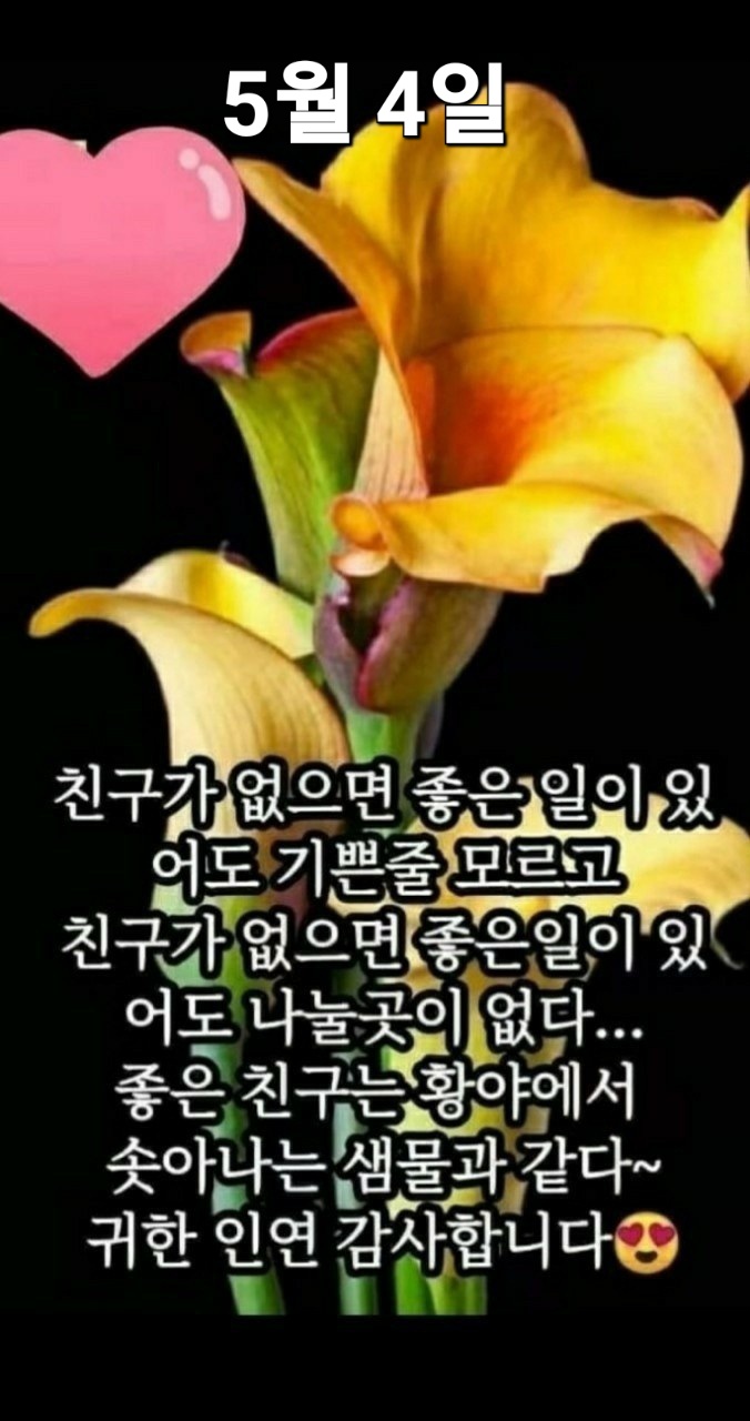 토요일 이미지