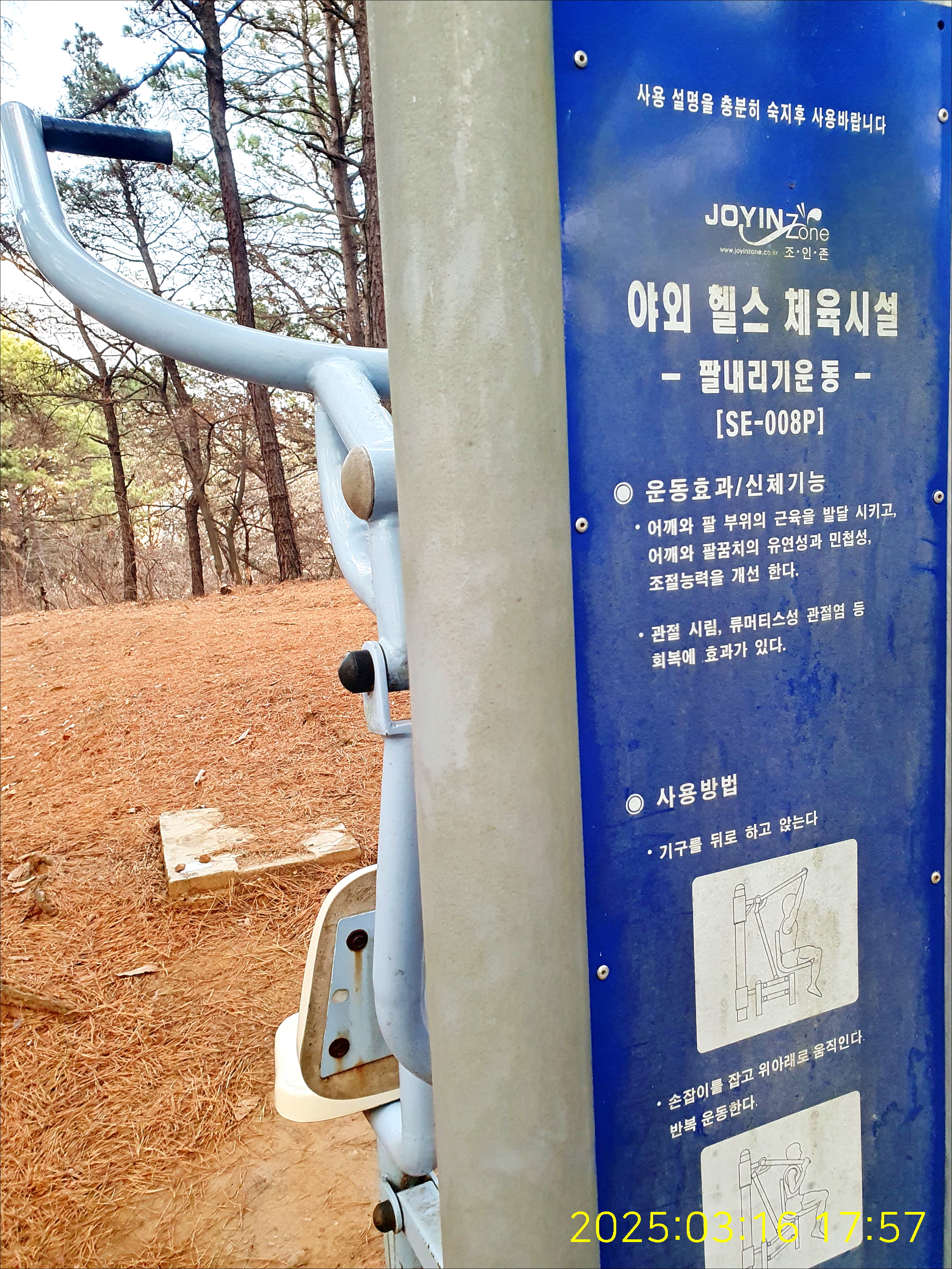 오후의숲 이미지