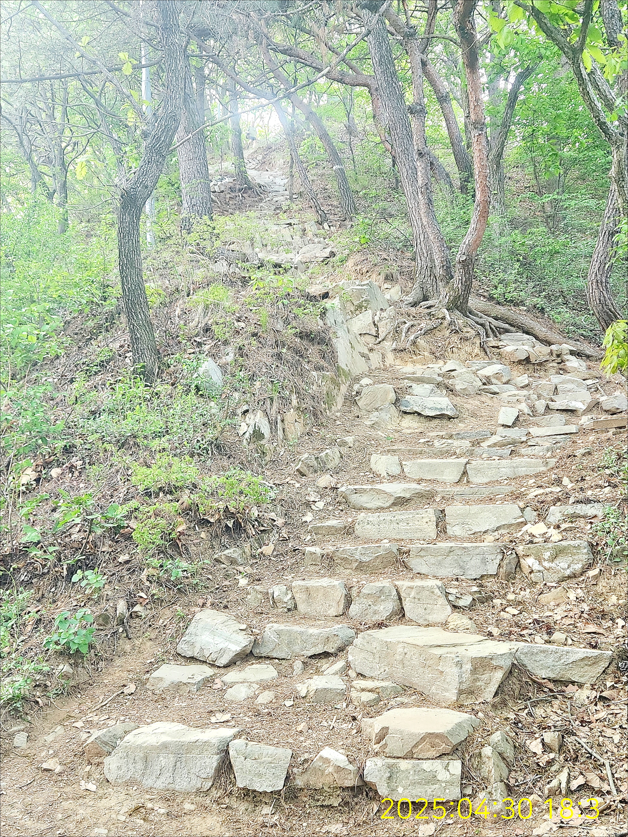오후의산책 이미지