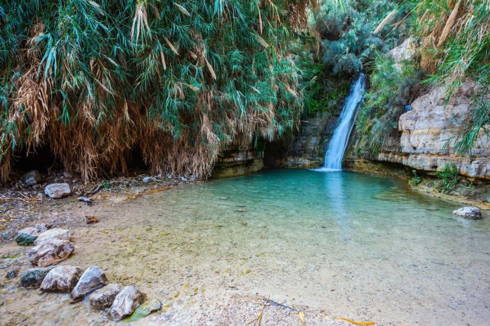 엔게디(Ein Gedi) 이미지