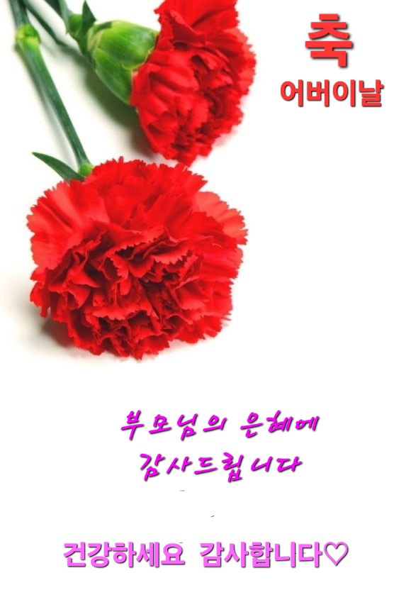 모정 이미지