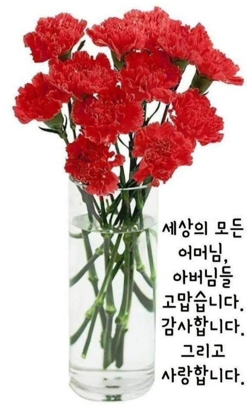 모정 이미지