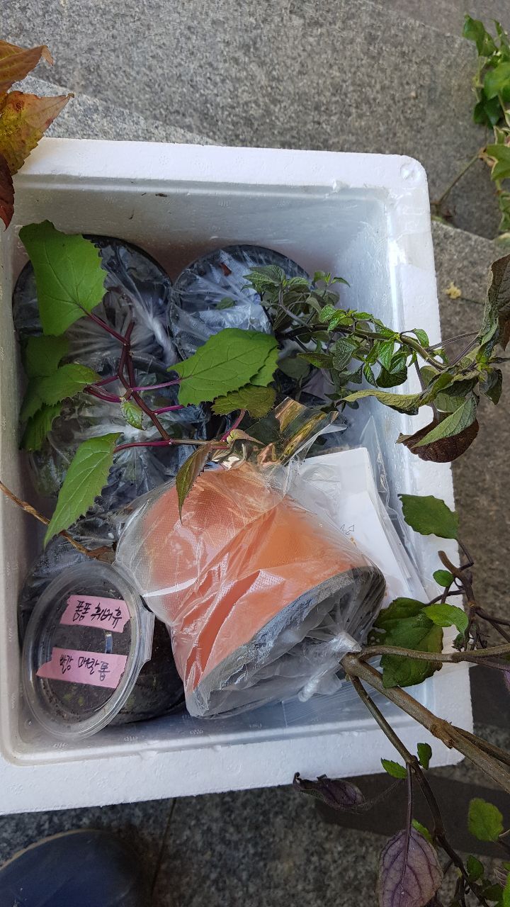 생각하담 이미지