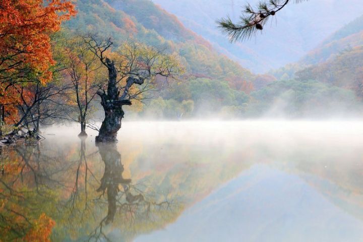개여울 이미지