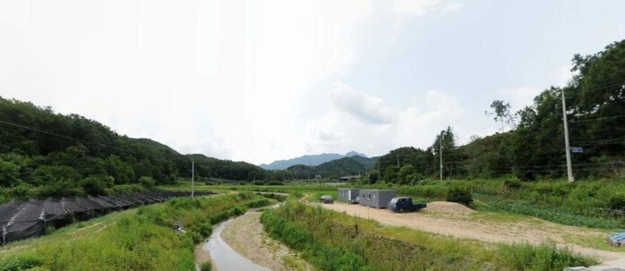 송골 이미지