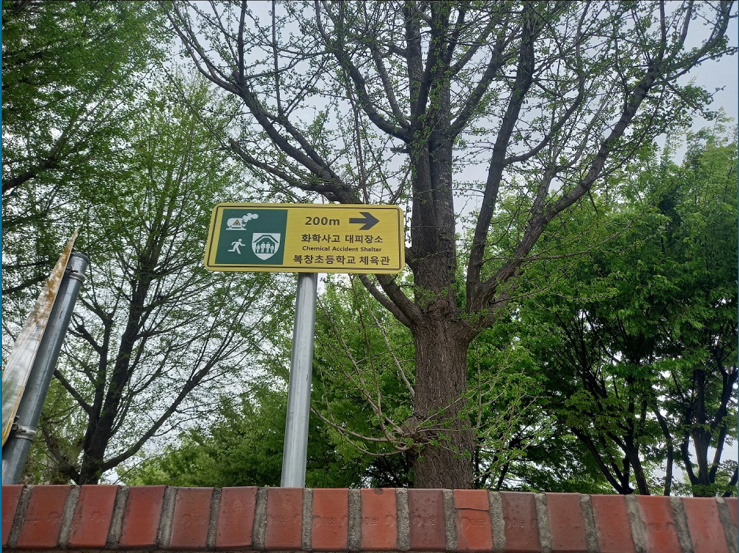 현덕초등학교 이미지
