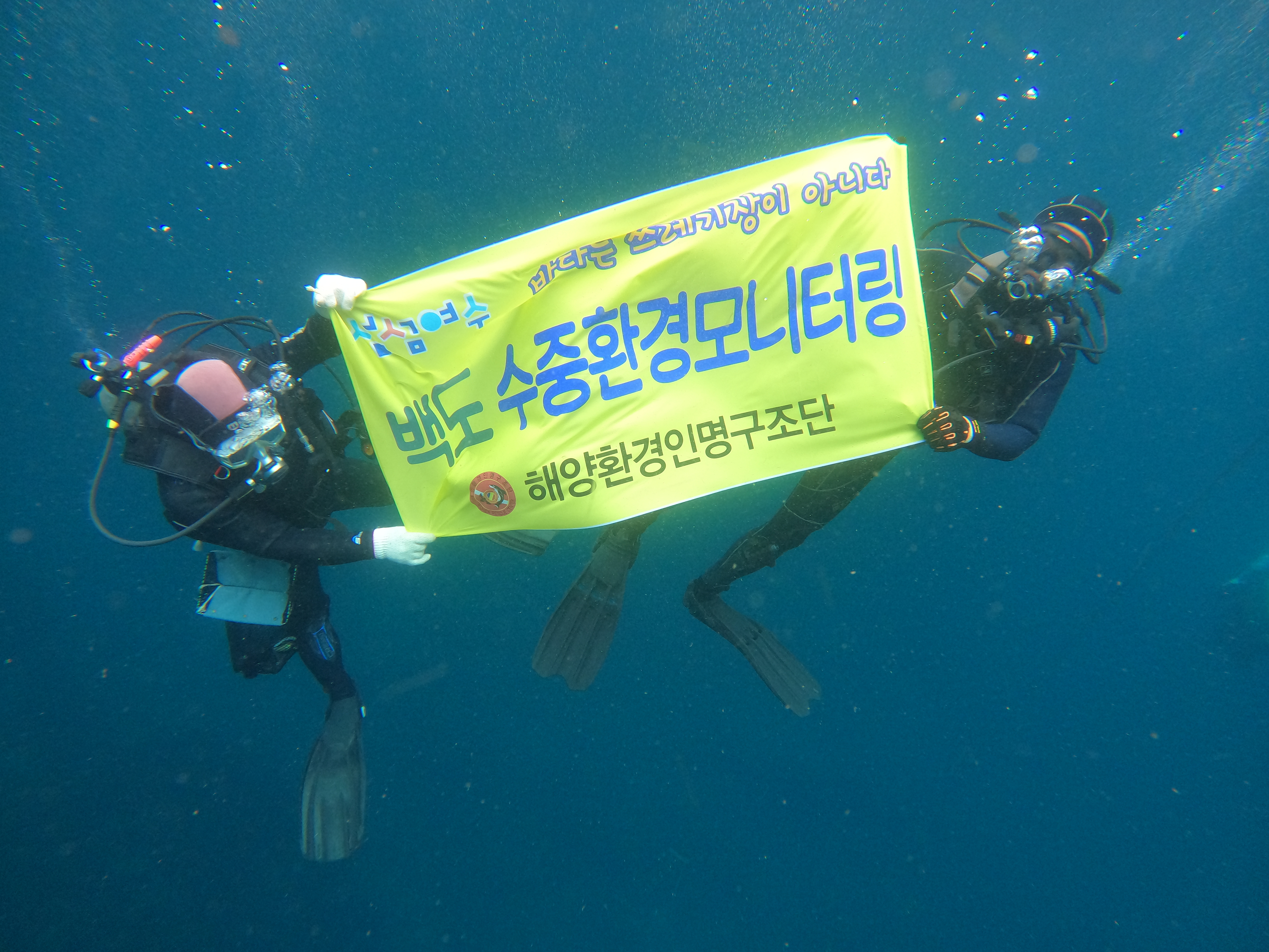 백도수중 이미지
