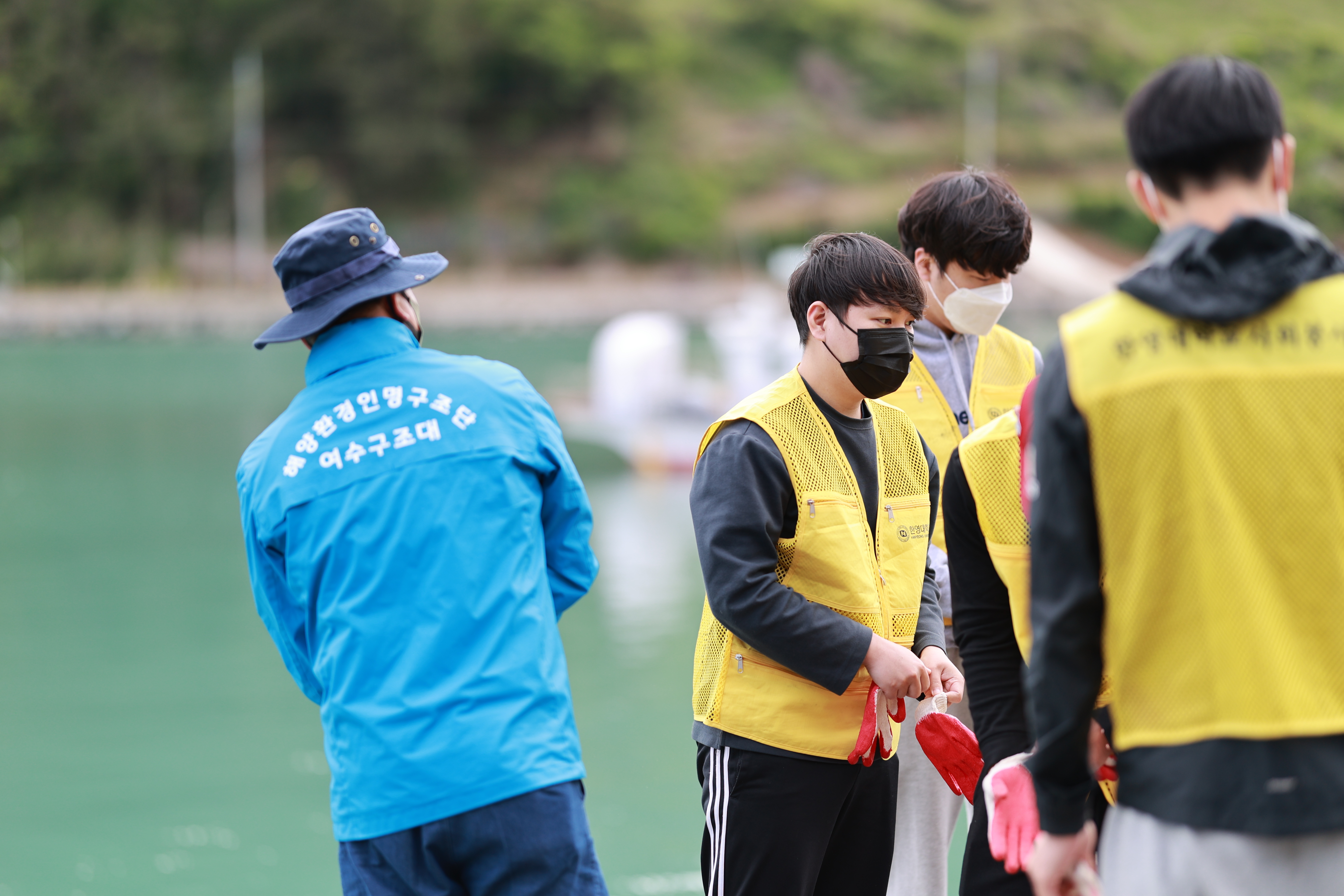 월호도요 이미지