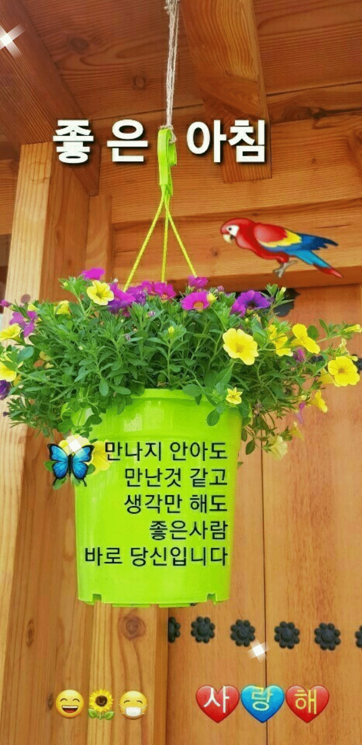 상쾌한주말 아침입니다 행복가득 즐거운가득한 주말되세요 - 누구나*자유게시판 - 1588-5251 퀵/용달 24시간 한국퀵서비스협동조합