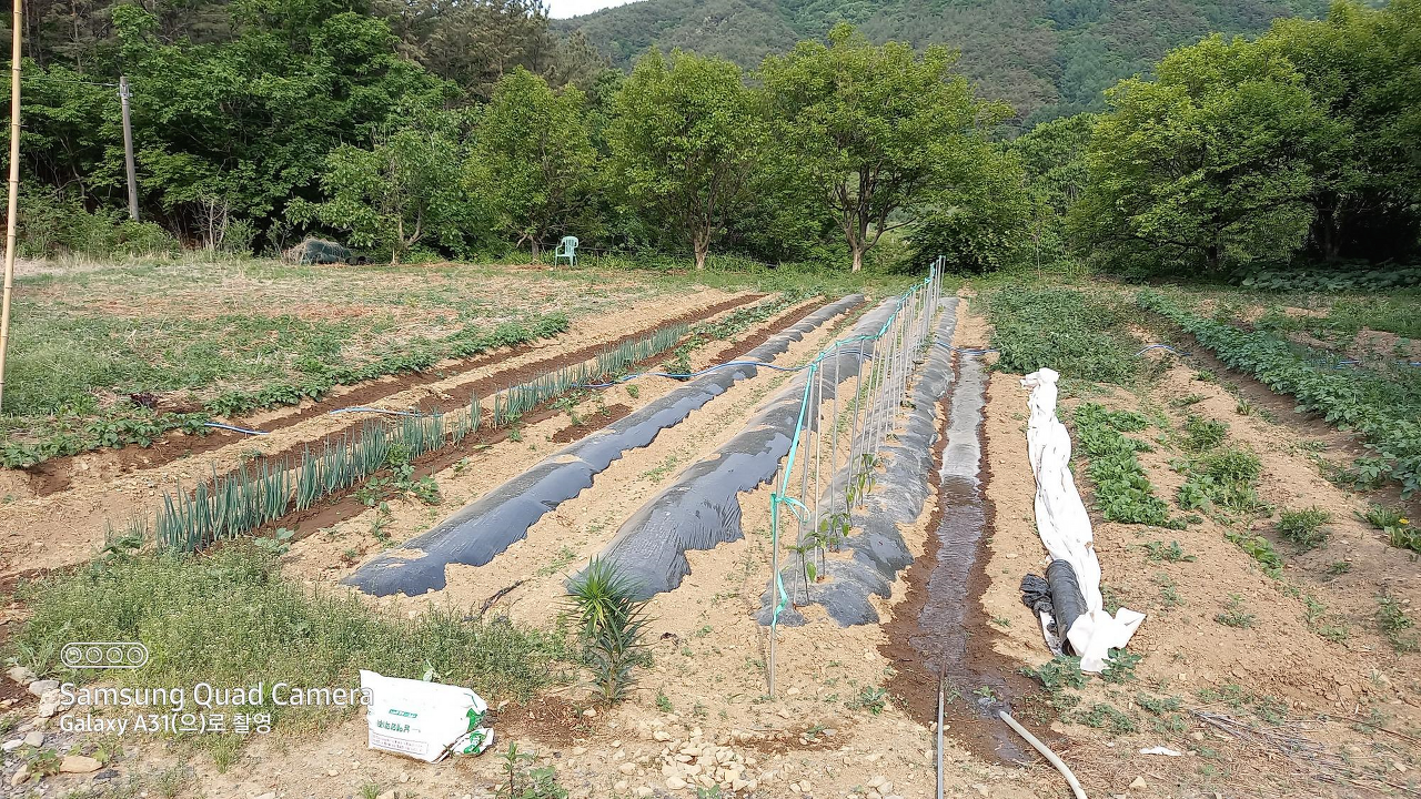천둥 이미지